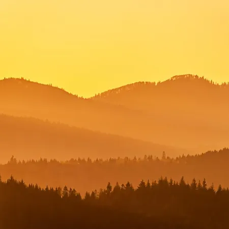 Hébergement de vacances Schwarzwaldhaus Krebs - Kunterbunt, Lenzkirch, Feldberg Lenzkirch