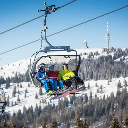 Hébergement de vacances Schwarzwaldhaus Krebs - Kunterbunt, Lenzkirch, Feldberg *