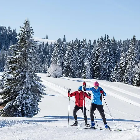 Hébergement de vacances Schwarzwaldhaus Krebs - Kunterbunt, Lenzkirch, Feldberg