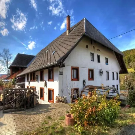 Schwarzwaldhaus Krebs - Kunterbunt, Lenzkirch, Feldberg Ferienhaus *