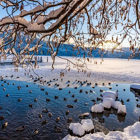 Schwarzwaldhaus Krebs - Kunterbunt, Lenzkirch, Feldberg *
