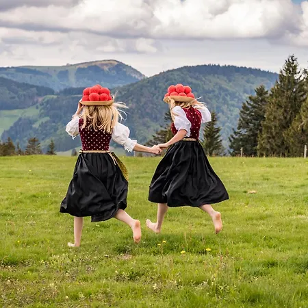 Schwarzwaldhaus Krebs - Kunterbunt, Lenzkirch, Feldberg * Lenzkirch
