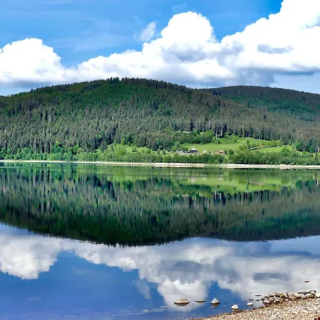Schwarzwaldhaus Krebs - Kunterbunt, Lenzkirch, Feldberg