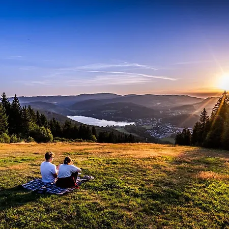 Schwarzwaldhaus Krebs - Kunterbunt, Lenzkirch, Feldberg Hébergement de vacances