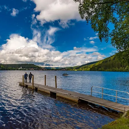 Schwarzwaldhaus Krebs - Kunterbunt, Lenzkirch, Feldberg Сasa de vacaciones Lenzkirch