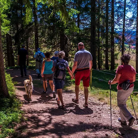 Schwarzwaldhaus Krebs - Kunterbunt, Lenzkirch, Feldberg *